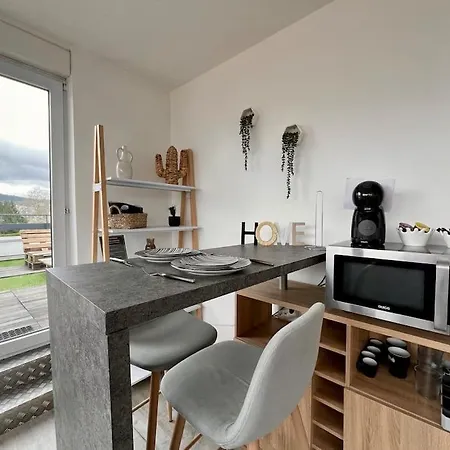 Studio 2 Prsn / Proche Gare-Viotte / Garage Prive Besançon Buitenkant foto